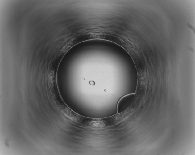 X0000098030275200804071423