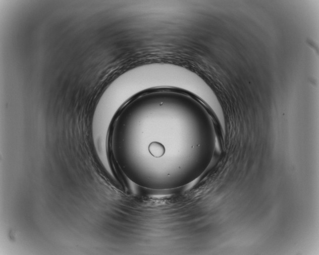 X0000098030276200804071423