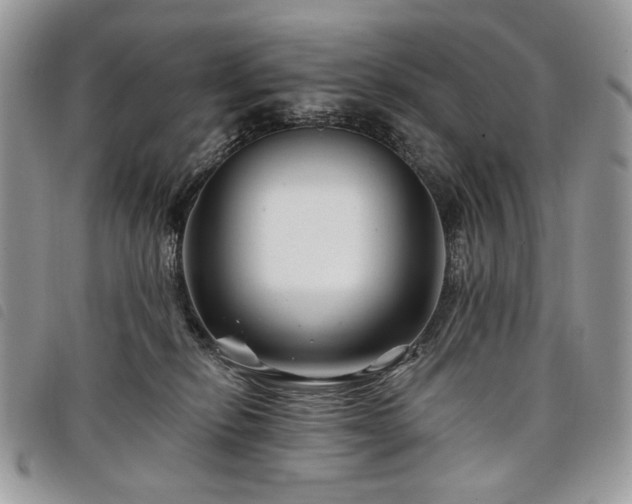 X0000098030278200804071423