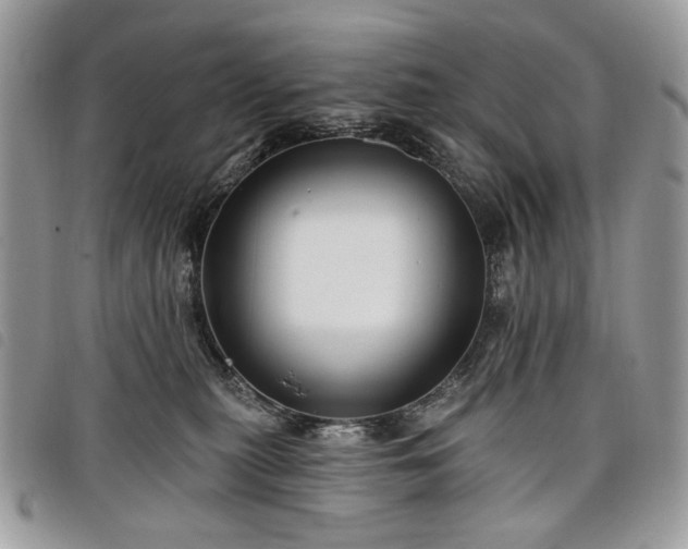 X0000098030279200804071423