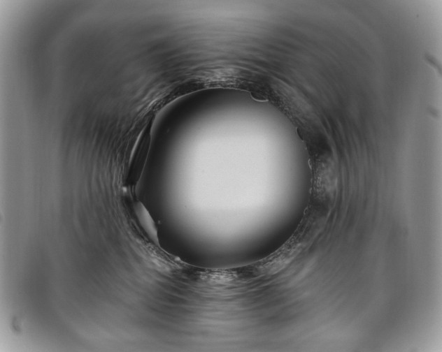 X0000098030282200804071423