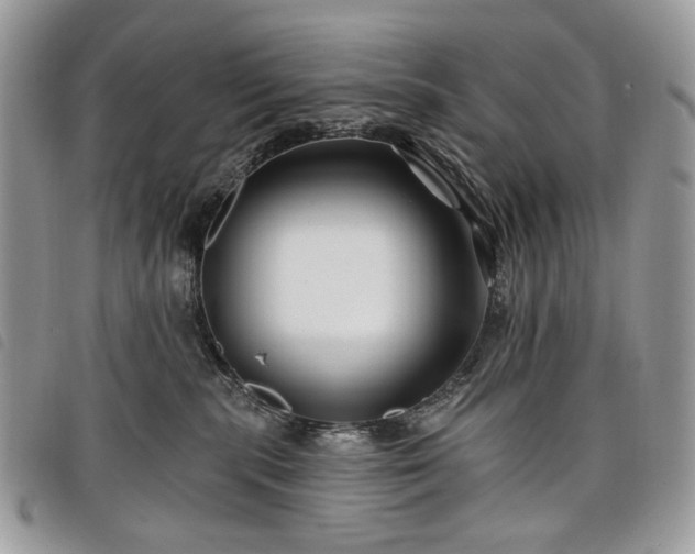 X0000098030283200804071423