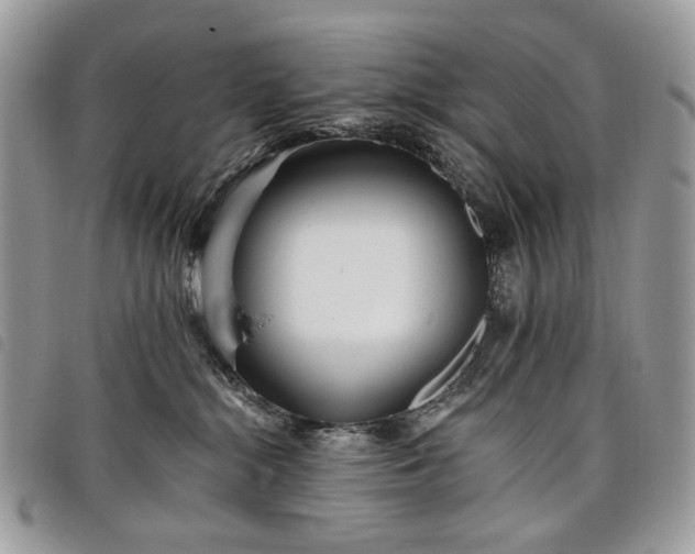 X0000098030284200804071423