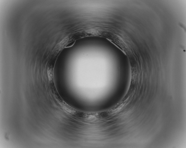 X0000098030285200804071423