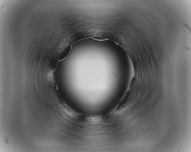 X0000098030286200804071423