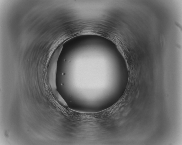 X0000098030289200804071422