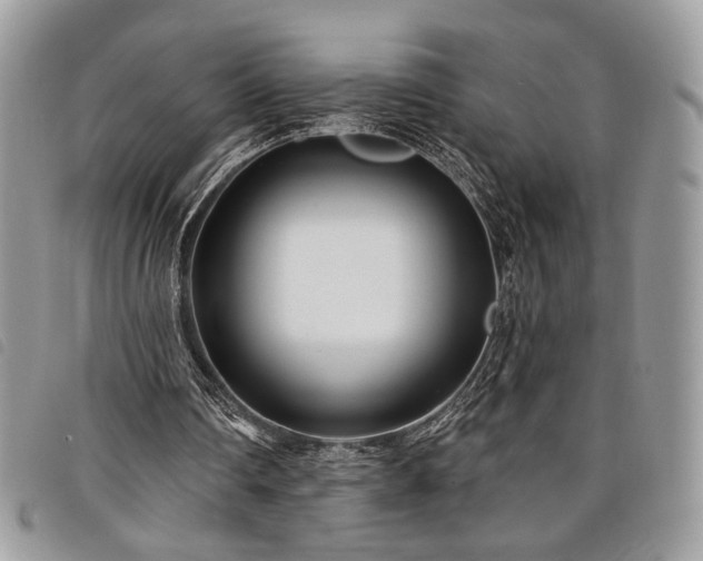 X0000098030290200804071422