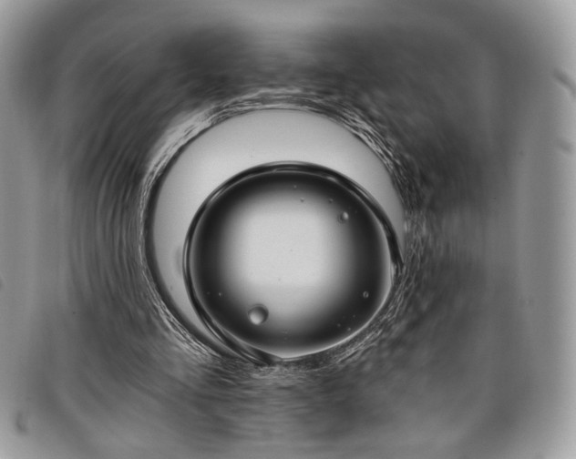 X0000098030293200804071422