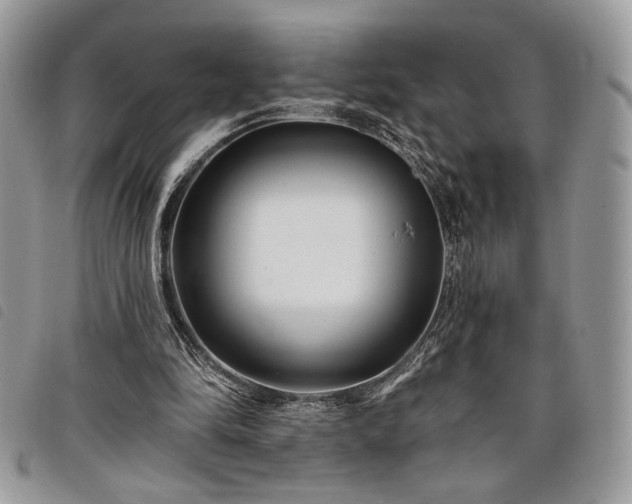 X0000098030294200804071422