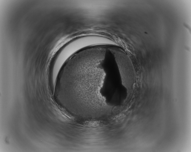 X0000098030295200804071422