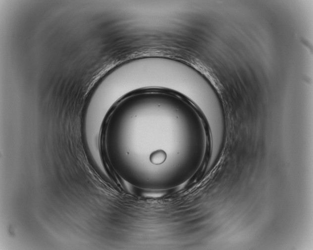 X0000098030297200804071422