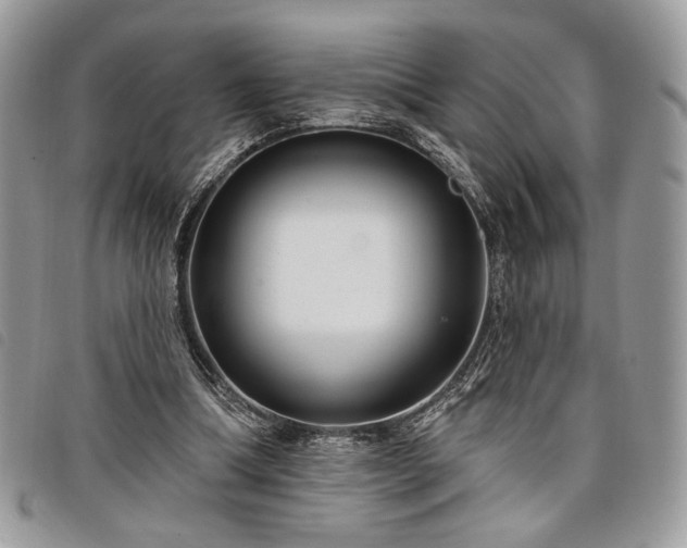 X0000098030298200804071422