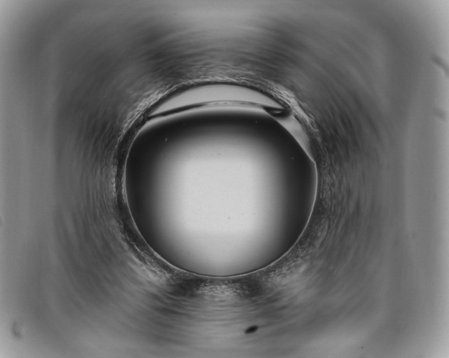 X0000098030299200804071422