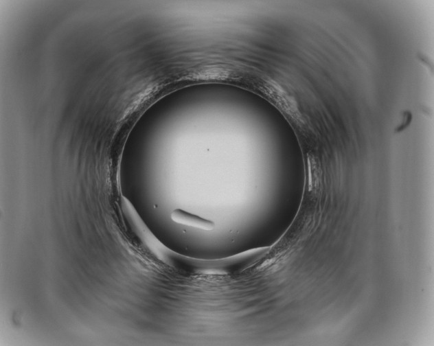 X0000098030300200804071422