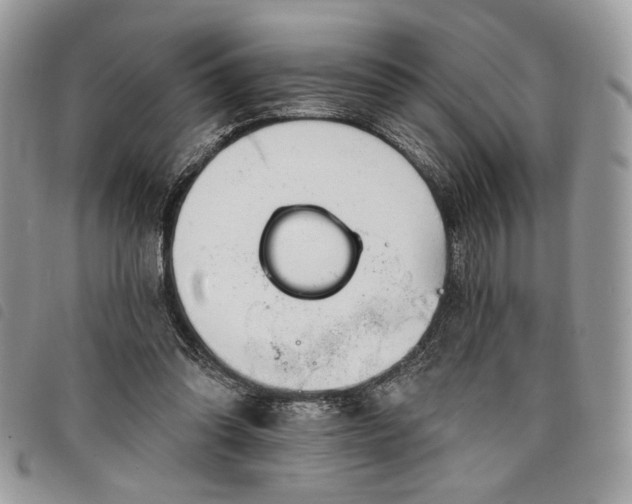 X0000098030302200804071422