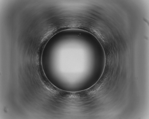 X0000098030303200804071422