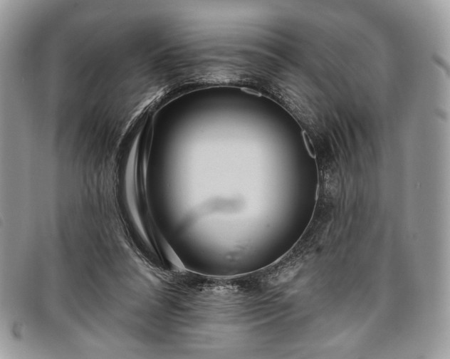 X0000098030304200804071422