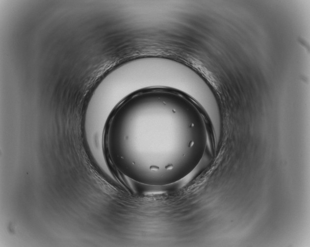 X0000098030305200804071422