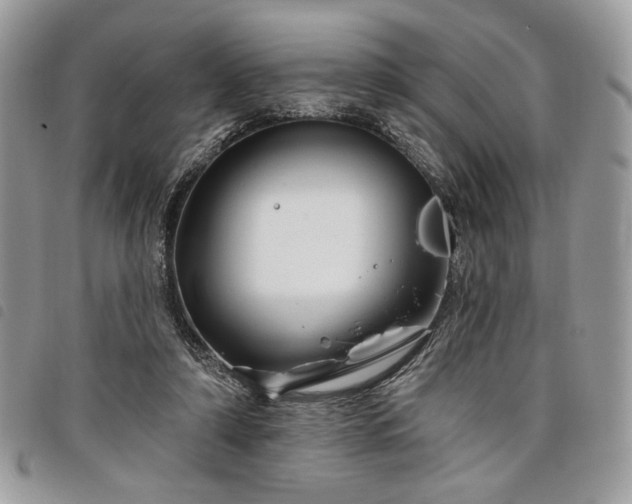 X0000098030306200804071422