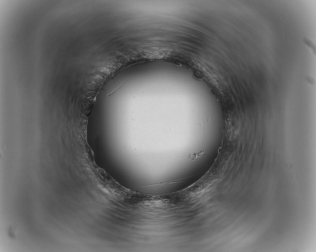 X0000098030307200804071422