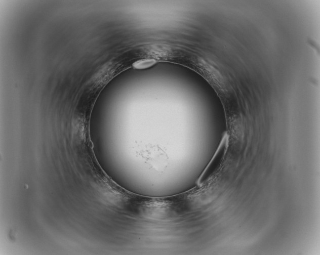 X0000098030313200804071422