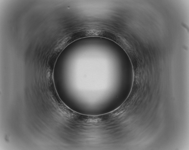 X0000098030314200804071422