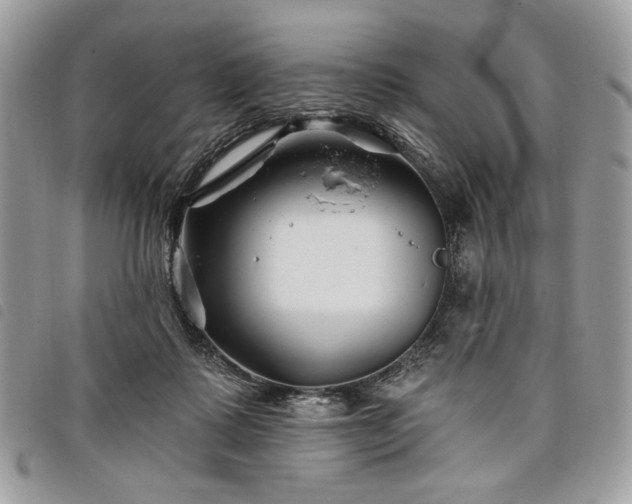 X0000098030315200804071422