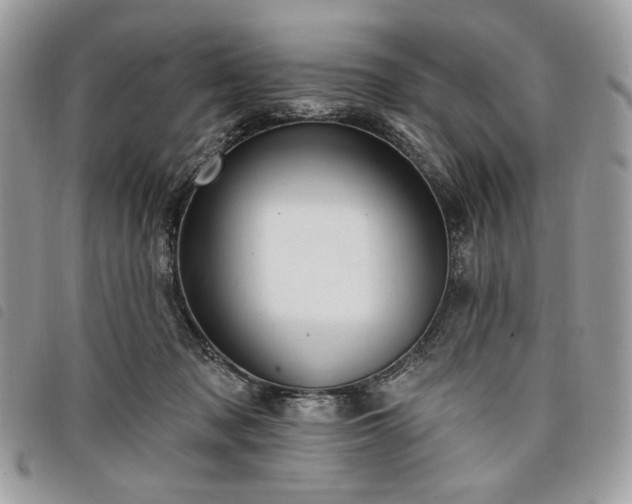 X0000098030317200804071422