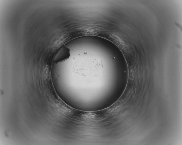 X0000098030318200804071422