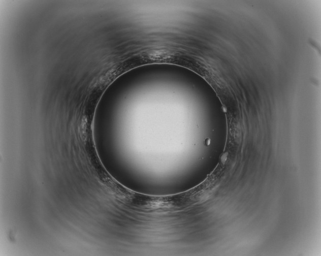 X0000098030319200804071422