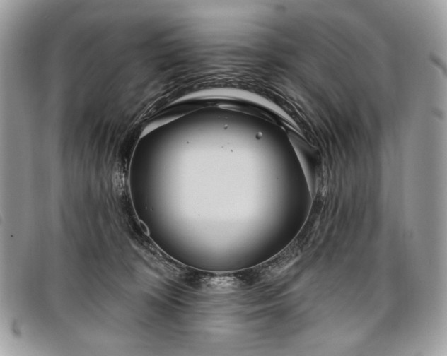 X0000098030324200804071422