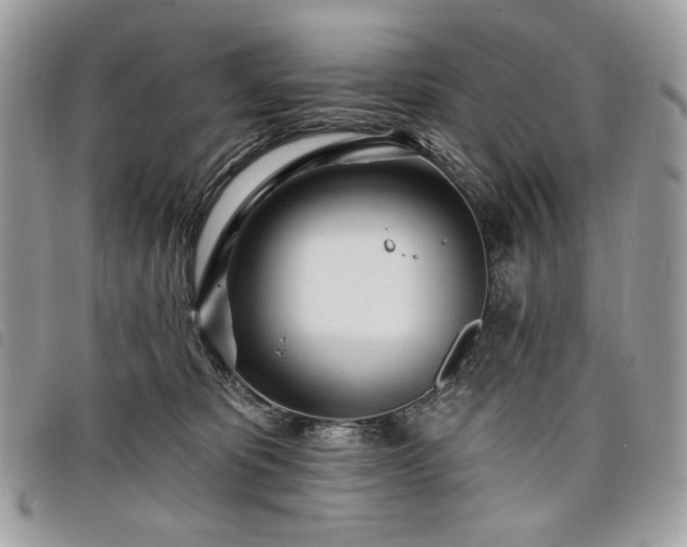 X0000098030325200804071422