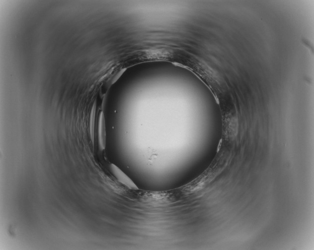 X0000098030329200804071422