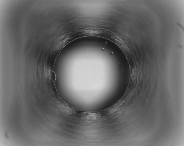 X0000098030330200804071422