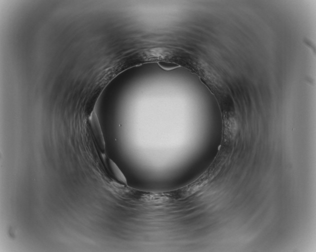 X0000098030331200804071422