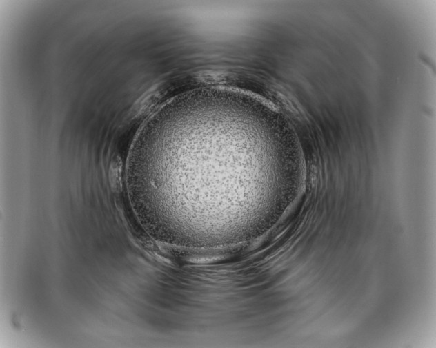 X0000098030332200804071422