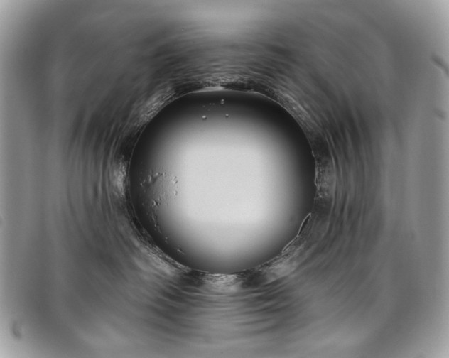 X0000098030334200804071422