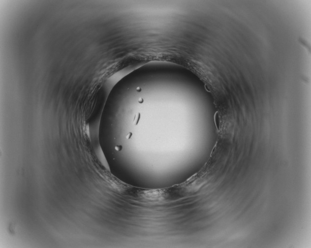 X0000098030335200804071422