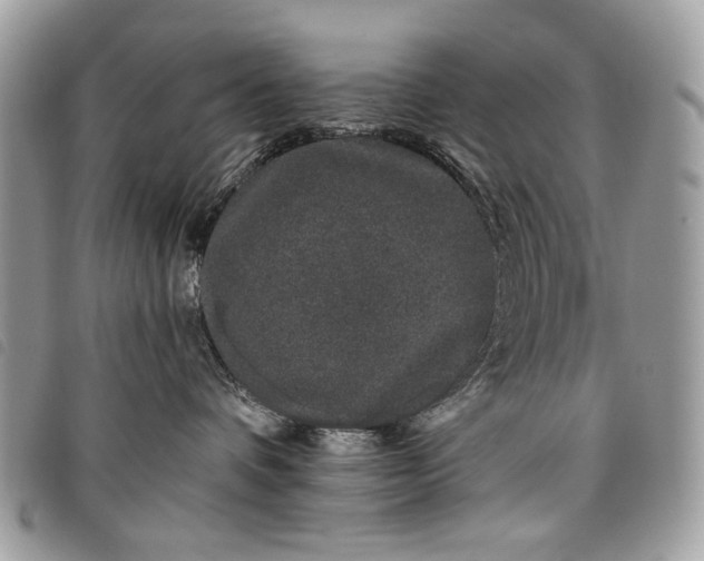 X0000098030336200804071422