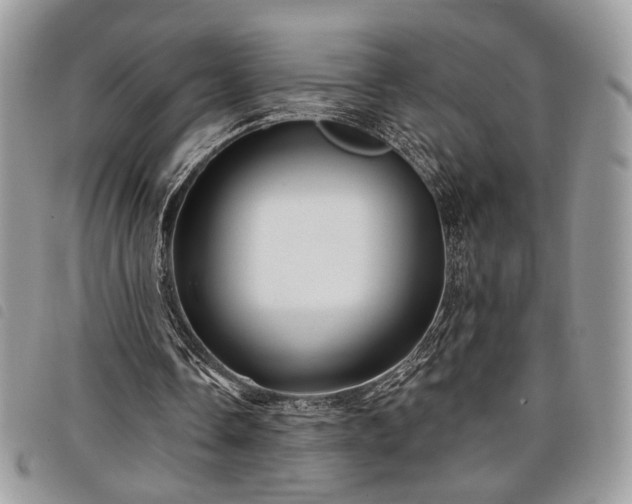 X0000098030338200804071421