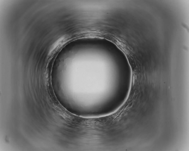 X0000098030339200804071421