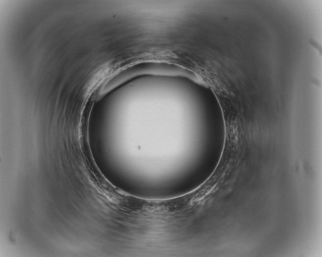 X0000098030340200804071421