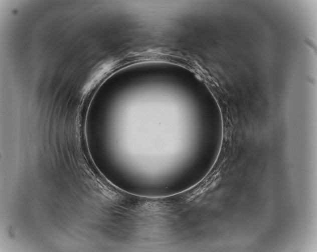 X0000098030341200804071421