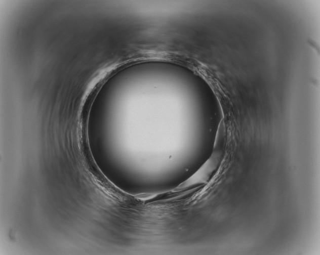 X0000098030342200804071421