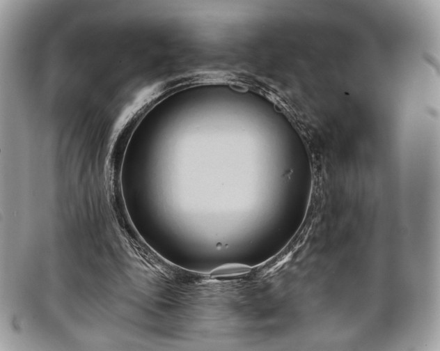 X0000098030343200804071421