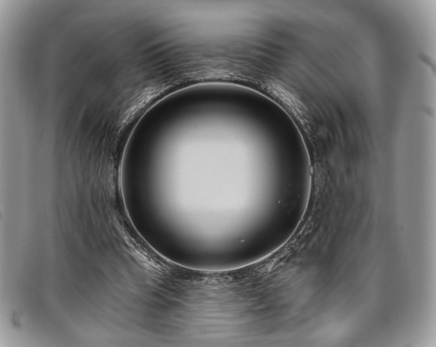 X0000098030345200804071421