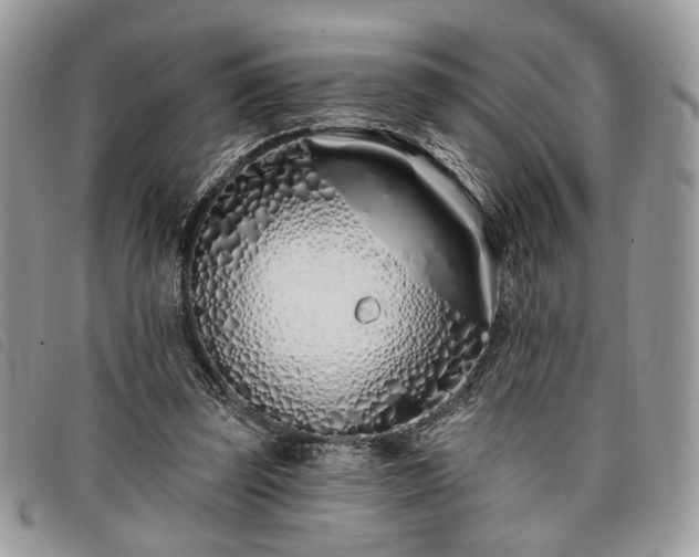 X0000098030347200804071421