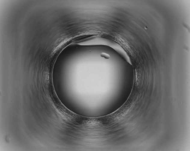 X0000098030348200804071421