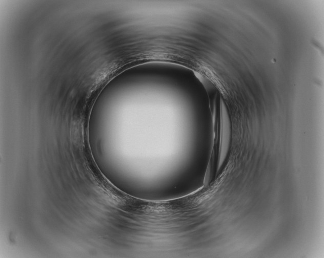 X0000098030349200804071421