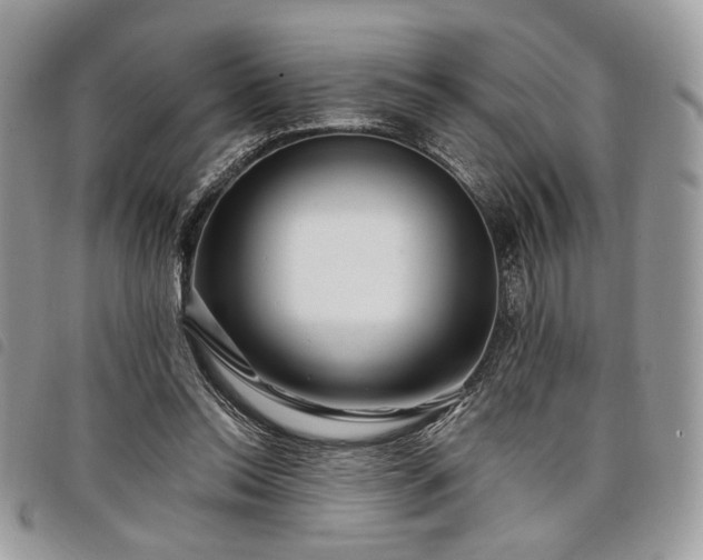 X0000098030350200804071421